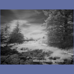 2003_3163_Nuchatlitz_Inlet_IR.html