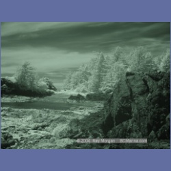 2003_3171_Nuchatlitz_Inlet_IR.html
