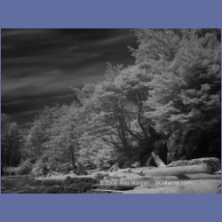 2003_3173_Nuchatlitz_Inlet_IR.html