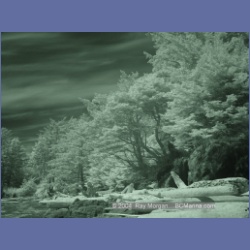 2003_3174_Nuchatlitz_Inlet_IR.html