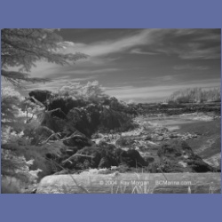 2003_3183_Nuchatlitz_Inlet_IR.html