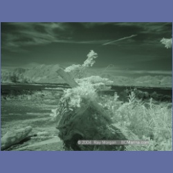 2003_3193_Nuchatlitz_Inlet_IR.html