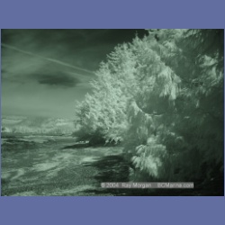 2003_3197_Nuchatlitz_Inlet_IR.html