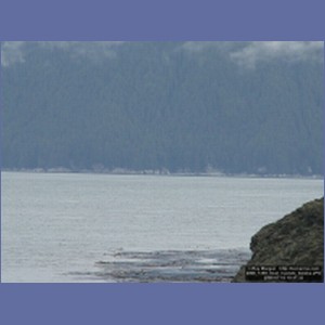 2006_1359_Inian_Islands_Alaska.JPG