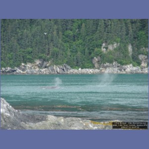 2006_1360_Inian_Islands_Alaska.JPG
