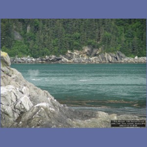 2006_1361_Inian_Islands_Alaska.JPG