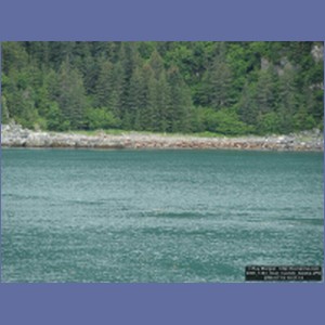 2006_1363_Inian_Islands_Alaska.JPG