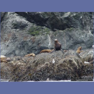 2006_1384_Inian_Islands_Alaska.JPG