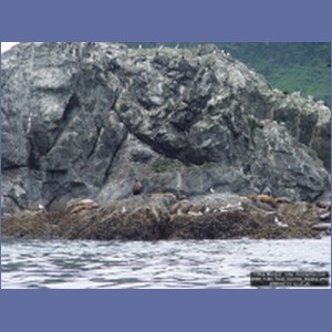 2006_1385_Inian_Islands_Alaska.JPG