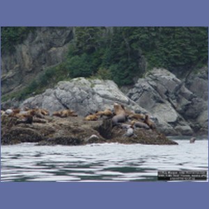 2006_1386_Inian_Islands_Alaska.JPG