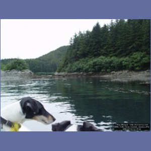 2006_1394_Inian_Islands_Alaska.JPG