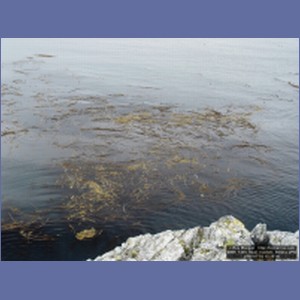 2006_1430_Inian_Islands_Alaska.JPG