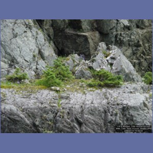 2006_1436_Inian_Islands_Alaska.JPG