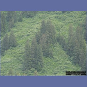 2006_1458_Inian_Islands_Alaska.JPG