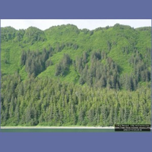 2006_1462_Inian_Islands_Alaska.JPG