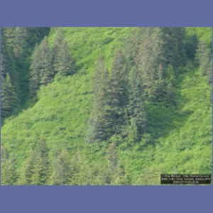 2006_1463_Inian_Islands_Alaska.JPG