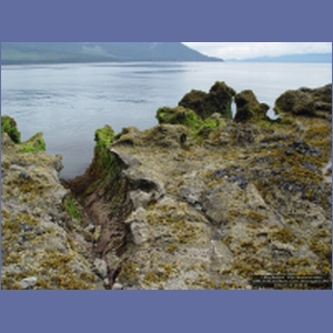 2006_1120_Iyoukeen_Cove_Chichagof_I.JPG