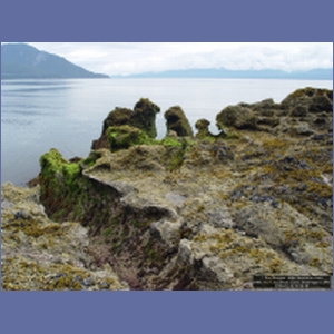 2006_1121_Iyoukeen_Cove_Chichagof_I.JPG