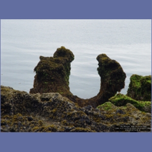 2006_1127_Iyoukeen_Cove_Chichagof_I.JPG