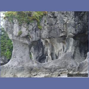 2006_1131_Iyoukeen_Cove_Chichagof_I.JPG