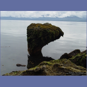 2006_1135_Iyoukeen_Cove_Chichagof_I.JPG