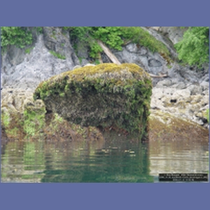 2006_1139_Iyoukeen_Cove_Chichagof_I.JPG