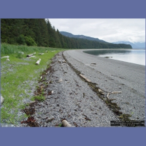2006_1141_Iyoukeen_Cove_Chichagof_I.JPG