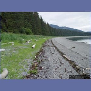 2006_1142_Iyoukeen_Cove_Chichagof_I.JPG