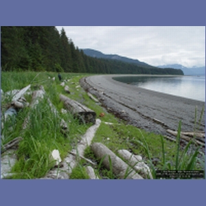 2006_1144_Iyoukeen_Cove_Chichagof_I.JPG