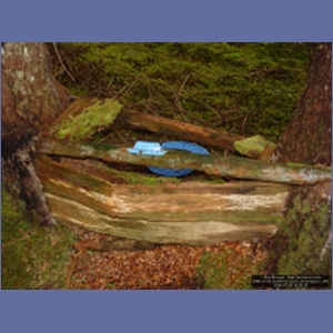 2006_1158_Iyoukeen_Cove_Chichagof_I.JPG
