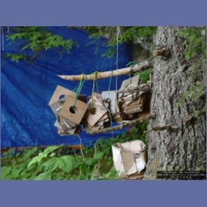 2006_1166_Iyoukeen_Cove_Chichagof_I.JPG