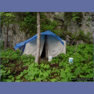 2006_1167_Iyoukeen_Cove_Chichagof_I.JPG