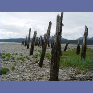 2006_1172_Iyoukeen_Cove_Chichagof_I.JPG