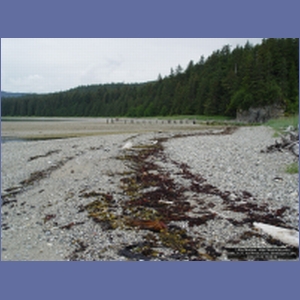 2006_1176_Iyoukeen_Cove_Chichagof_I.JPG