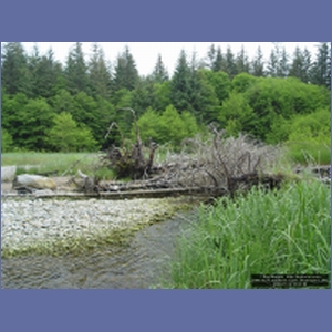 2006_1179_Iyoukeen_Cove_Chichagof_I.JPG