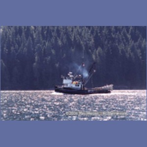 1997_johnstone_strait10a.jpg