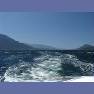 2003_4917_Johnstone_Strait_Gale.JPG
