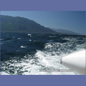 2003_4918_Johnstone_Strait_Gale.JPG