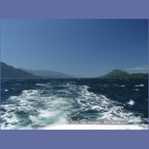 2003_4919_Johnstone_Strait_Gale.JPG