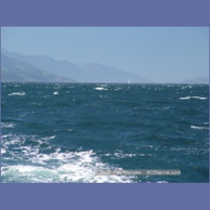 2003_4920_Johnstone_Strait_Gale.JPG