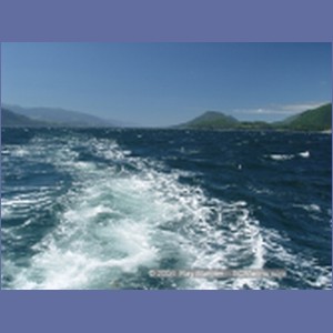 2003_4922_Johnstone_Strait_Gale.JPG