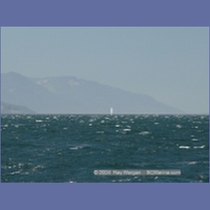 2003_4924_Johnstone_Strait_Gale.JPG
