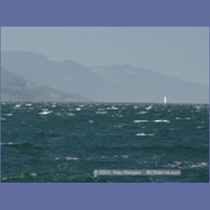 2003_4925_Johnstone_Strait_Gale.JPG
