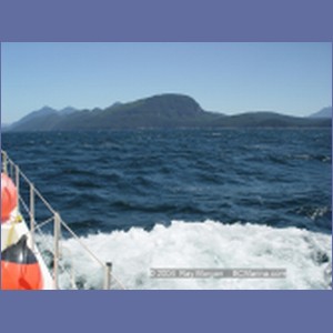 2003_4926_Johnstone_Strait_Gale.JPG
