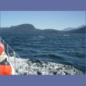 2003_4927_Johnstone_Strait_Gale.JPG