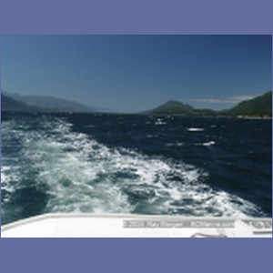 2003_4928_Johnstone_Strait_Gale.JPG