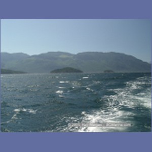 2003_4930_Johnstone_Strait_Gale.JPG
