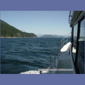 2003_4931_Johnstone_Strait_Gale.JPG