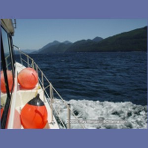 2003_4932_Johnstone_Strait_Gale.JPG