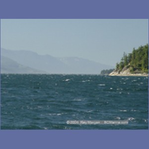 2003_4933_Johnstone_Strait_Gale.JPG